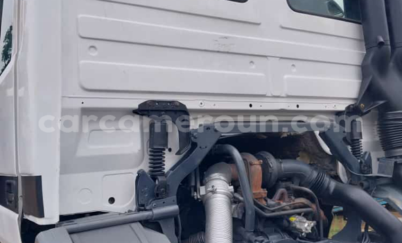 Sayi Imported Mercedes‒Benz 3331 White Babbar mota in Douala a Ƙasar Kamaru Sayi Imported Mercedes‒Benz 3331 White Babbar mota in Douala a Ƙasar Kamaru