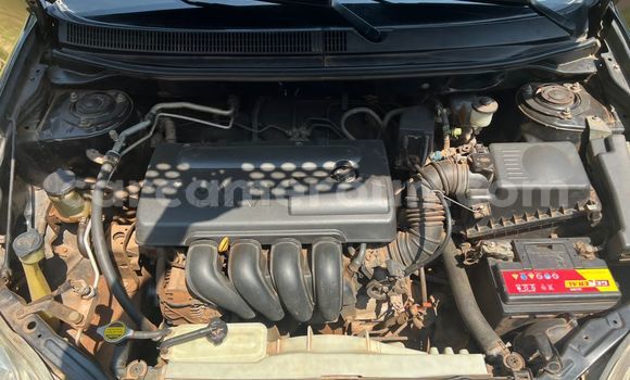 Acheter Occasion Voiture Toyota Matrix Noir à Yaoundé, Central Cameroon Acheter Occasion Voiture Toyota Matrix Noir à Yaoundé, Central Cameroon