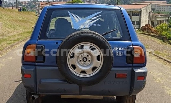 Buy Used Toyota RAV4 Blue Car in Yaounde in Central Cameroon Buy Used Toyota RAV4 Blue Car in Yaounde in Central Cameroon