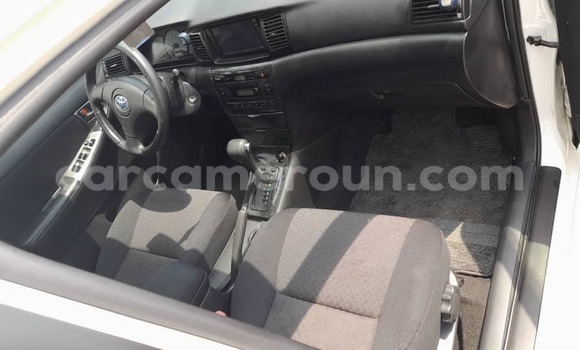Acheter Neuf Voiture Toyota Runx Blanc à Douala, Littoral Cameroon Acheter Neuf Voiture Toyota Runx Blanc à Douala, Littoral Cameroon