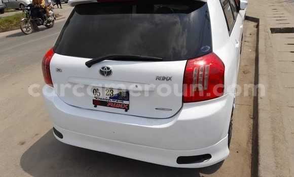 Acheter Neuf Voiture Toyota Runx Blanc à Douala, Littoral Cameroon Acheter Neuf Voiture Toyota Runx Blanc à Douala, Littoral Cameroon