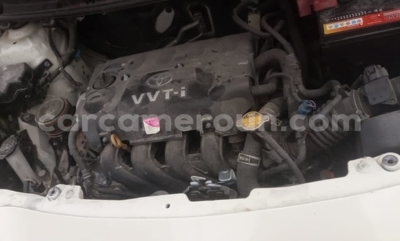 Acheter Neuf Voiture Toyota Vitz Blanc à Douala, Littoral Cameroon Acheter Neuf Voiture Toyota Vitz Blanc à Douala, Littoral Cameroon