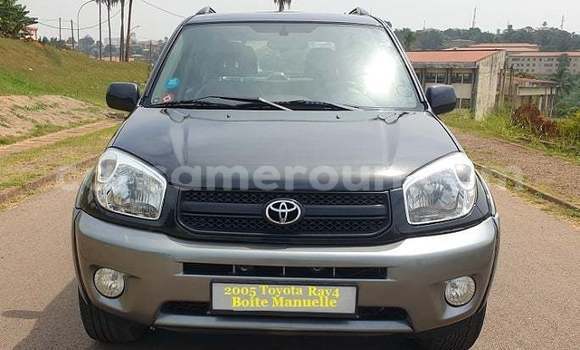 Buy Used Toyota RAV4 Black Car in Yaounde in Central Cameroon Buy Used Toyota RAV4 Black Car in Yaounde in Central Cameroon