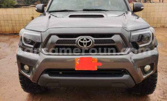 Acheter Occasion Voiture Toyota Tacoma Gris à Yaoundé, Central Cameroon