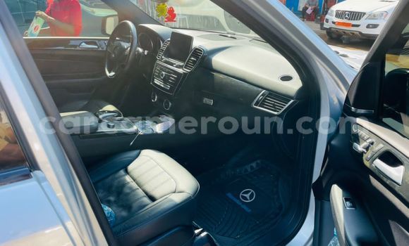 Acheter Occasion Voiture Mercedes‒Benz GLE Gris à Douala, Littoral Cameroon Acheter Occasion Voiture Mercedes‒Benz GLE Gris à Douala, Littoral Cameroon