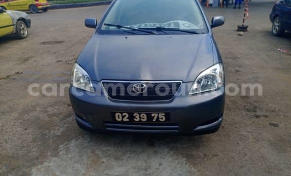 Sayi Na hannu Toyota Corolla Blue Mota in Douala a Ƙasar Kamaru