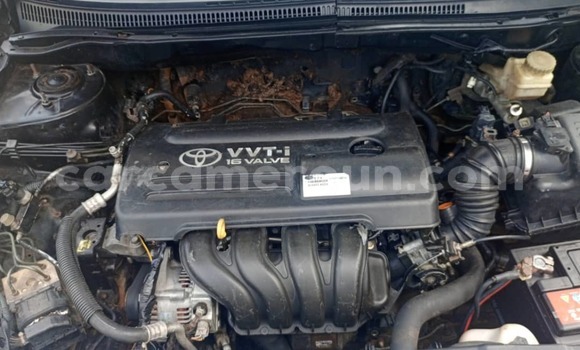 Buy Used Toyota Corolla Blue Car in Douala in Littoral Cameroon Buy Used Toyota Corolla Blue Car in Douala in Littoral Cameroon