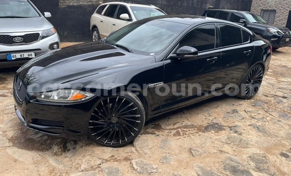 Buy Import Jaguar XF Black Car in Douala in Littoral Cameroon