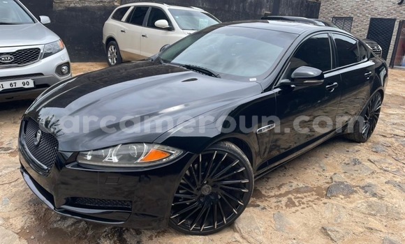 Sayi Na hannu Jaguar XF Black Mota in Bamenda a Arewacin Kamaru