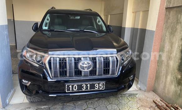 Acheter Occasion Voiture Toyota Prado Noir à Douala, Littoral Cameroon