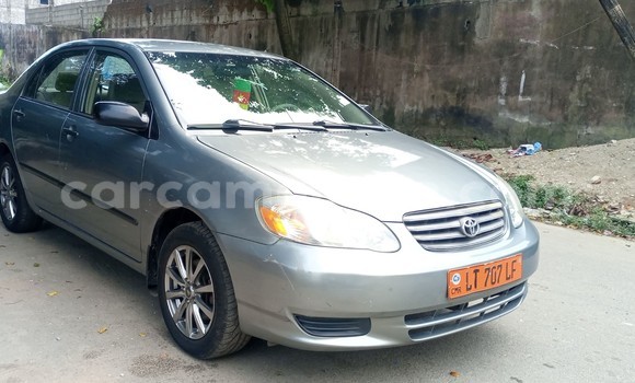 Acheter Occasion Voiture Toyota Corolla Beige à Douala, Littoral Cameroon Acheter Occasion Voiture Toyota Corolla Beige à Douala, Littoral Cameroon