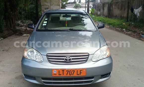 Acheter Occasion Voiture Toyota Corolla Beige à Douala, Littoral Cameroon Acheter Occasion Voiture Toyota Corolla Beige à Douala, Littoral Cameroon