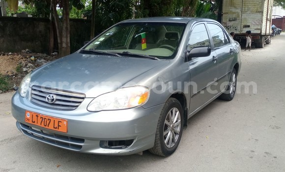 Acheter Occasion Voiture Toyota Corolla Beige à Douala, Littoral Cameroon Acheter Occasion Voiture Toyota Corolla Beige à Douala, Littoral Cameroon