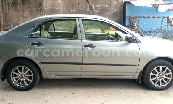 Acheter Occasion Voiture Toyota Corolla Beige à Douala, Littoral Cameroon Acheter Occasion Voiture Toyota Corolla Beige à Douala, Littoral Cameroon
