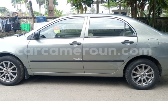 Acheter Occasion Voiture Toyota Corolla Beige à Douala, Littoral Cameroon Acheter Occasion Voiture Toyota Corolla Beige à Douala, Littoral Cameroon