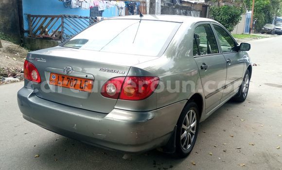 Acheter Occasion Voiture Toyota Corolla Beige à Douala, Littoral Cameroon Acheter Occasion Voiture Toyota Corolla Beige à Douala, Littoral Cameroon
