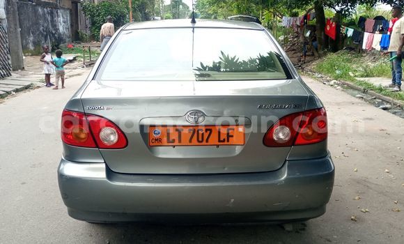 Acheter Occasion Voiture Toyota Corolla Beige à Douala, Littoral Cameroon Acheter Occasion Voiture Toyota Corolla Beige à Douala, Littoral Cameroon