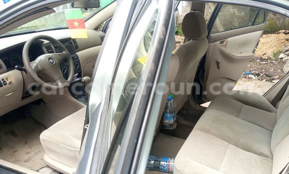 Acheter Occasion Voiture Toyota Corolla Beige à Douala, Littoral Cameroon Acheter Occasion Voiture Toyota Corolla Beige à Douala, Littoral Cameroon