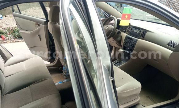 Acheter Occasion Voiture Toyota Corolla Beige à Douala, Littoral Cameroon Acheter Occasion Voiture Toyota Corolla Beige à Douala, Littoral Cameroon