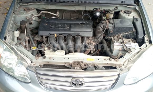 Acheter Occasion Voiture Toyota Corolla Beige à Douala, Littoral Cameroon Acheter Occasion Voiture Toyota Corolla Beige à Douala, Littoral Cameroon