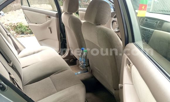 Acheter Occasion Voiture Toyota Corolla Beige à Douala, Littoral Cameroon Acheter Occasion Voiture Toyota Corolla Beige à Douala, Littoral Cameroon