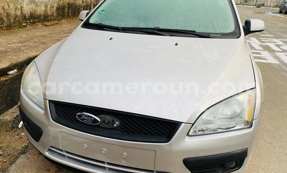 Buy Used Ford Focus Silver Car in Douala in Littoral Cameroon Buy Used Ford Focus Silver Car in Douala in Littoral Cameroon