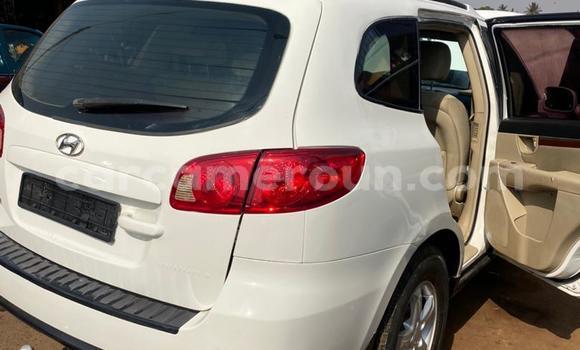 Acheter Occasion Voiture Hyundai Santa Fe Blanc à Yaoundé, Central Cameroon Acheter Occasion Voiture Hyundai Santa Fe Blanc à Yaoundé, Central Cameroon
