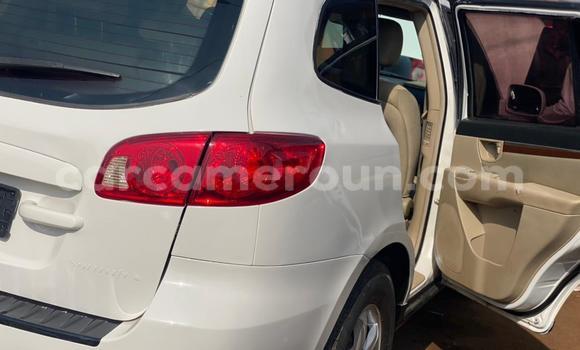 Acheter Occasion Voiture Hyundai Santa Fe Blanc à Yaoundé, Central Cameroon Acheter Occasion Voiture Hyundai Santa Fe Blanc à Yaoundé, Central Cameroon