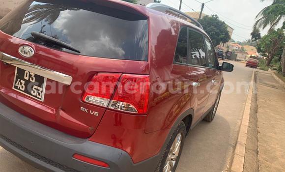 Acheter Occasion Voiture Kia Sorento Rouge à Yaoundé, Central Cameroon Acheter Occasion Voiture Kia Sorento Rouge à Yaoundé, Central Cameroon