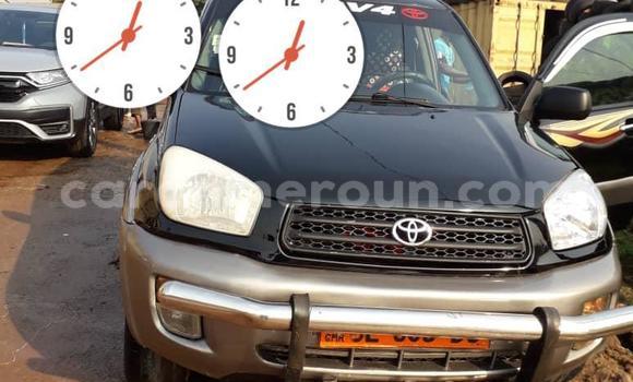 Acheter Occasion Voiture Toyota RAV4 Noir à Yaoundé, Central Cameroon Acheter Occasion Voiture Toyota RAV4 Noir à Yaoundé, Central Cameroon