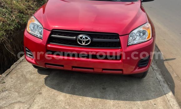 Sayi Na hannu Toyota RAV4 Red Mota in Douala a Ƙasar Kamaru