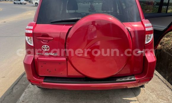 Acheter Occasion Voiture Toyota RAV4 Rouge à Douala, Littoral Cameroon Acheter Occasion Voiture Toyota RAV4 Rouge à Douala, Littoral Cameroon