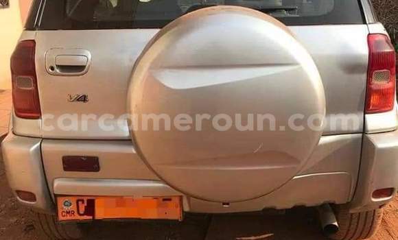 Acheter Occasion Voiture Toyota RAV4 Gris à Yaoundé, Central Cameroon Acheter Occasion Voiture Toyota RAV4 Gris à Yaoundé, Central Cameroon