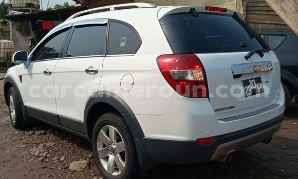 Buy Import Chevrolet Captiva White Car in Douala in Littoral Cameroon Buy Import Chevrolet Captiva White Car in Douala in Littoral Cameroon