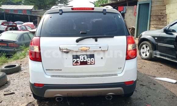 Buy Import Chevrolet Captiva White Car in Douala in Littoral Cameroon Buy Import Chevrolet Captiva White Car in Douala in Littoral Cameroon