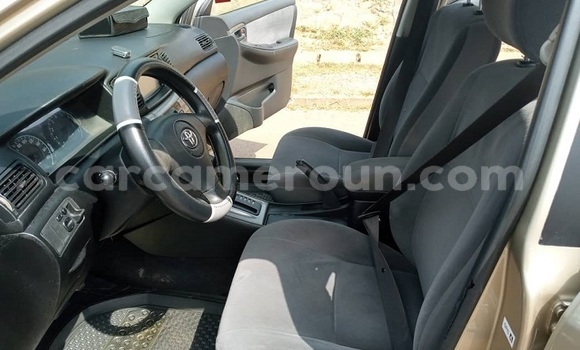 Acheter Occasion Voiture Toyota Allex Autre à Yaoundé, Central Cameroon Acheter Occasion Voiture Toyota Allex Autre à Yaoundé, Central Cameroon