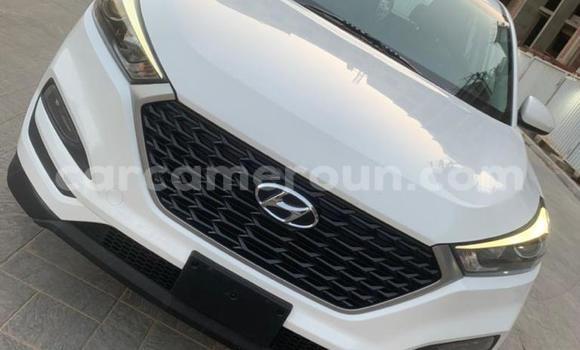 Buy Import Hyundai Tucson White Car in Douala in Littoral Cameroon