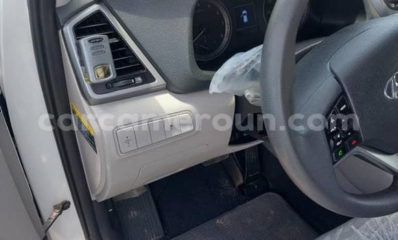 Acheter Import Voiture Hyundai Tucson Blanc à Douala, Littoral Cameroon Acheter Import Voiture Hyundai Tucson Blanc à Douala, Littoral Cameroon