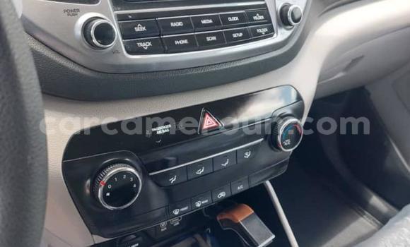 Acheter Import Voiture Hyundai Tucson Blanc à Douala, Littoral Cameroon Acheter Import Voiture Hyundai Tucson Blanc à Douala, Littoral Cameroon