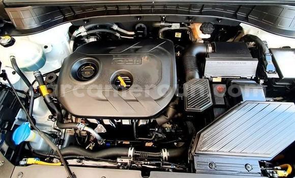 Acheter Import Voiture Hyundai Tucson Blanc à Douala, Littoral Cameroon Acheter Import Voiture Hyundai Tucson Blanc à Douala, Littoral Cameroon