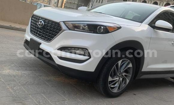 Acheter Import Voiture Hyundai Tucson Blanc à Douala, Littoral Cameroon Acheter Import Voiture Hyundai Tucson Blanc à Douala, Littoral Cameroon