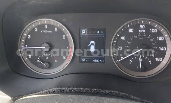 Acheter Import Voiture Hyundai Tucson Blanc à Douala, Littoral Cameroon Acheter Import Voiture Hyundai Tucson Blanc à Douala, Littoral Cameroon