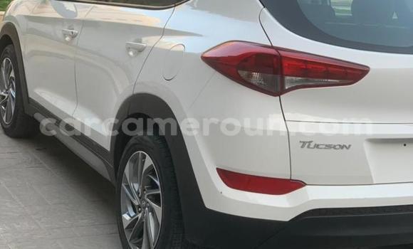 Acheter Import Voiture Hyundai Tucson Blanc à Douala, Littoral Cameroon Acheter Import Voiture Hyundai Tucson Blanc à Douala, Littoral Cameroon