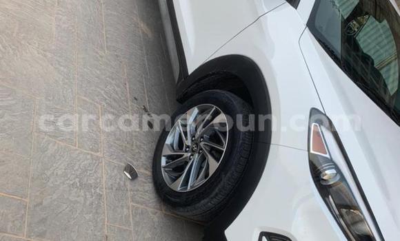 Acheter Import Voiture Hyundai Tucson Blanc à Douala, Littoral Cameroon Acheter Import Voiture Hyundai Tucson Blanc à Douala, Littoral Cameroon