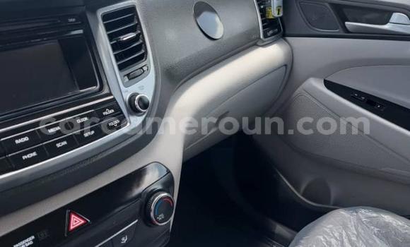 Acheter Import Voiture Hyundai Tucson Blanc à Douala, Littoral Cameroon Acheter Import Voiture Hyundai Tucson Blanc à Douala, Littoral Cameroon