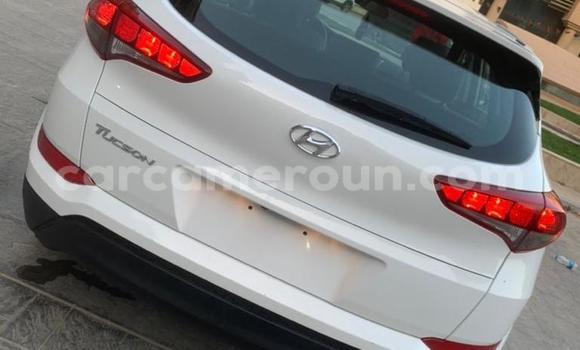 Acheter Import Voiture Hyundai Tucson Blanc à Douala, Littoral Cameroon Acheter Import Voiture Hyundai Tucson Blanc à Douala, Littoral Cameroon