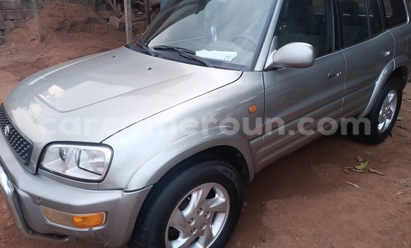 Buy Used Toyota RAV4 Silver Car in Yaounde in Central Cameroon
