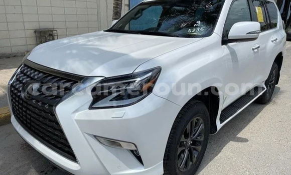Acheter Import Voiture Lexus GX Blanc à Douala, Littoral Cameroon