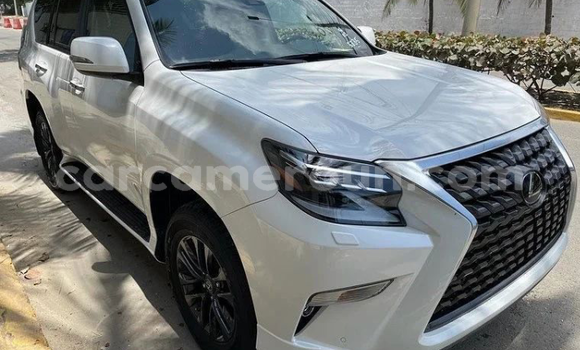 Acheter Import Voiture Lexus GX Blanc à Douala, Littoral Cameroon Acheter Import Voiture Lexus GX Blanc à Douala, Littoral Cameroon