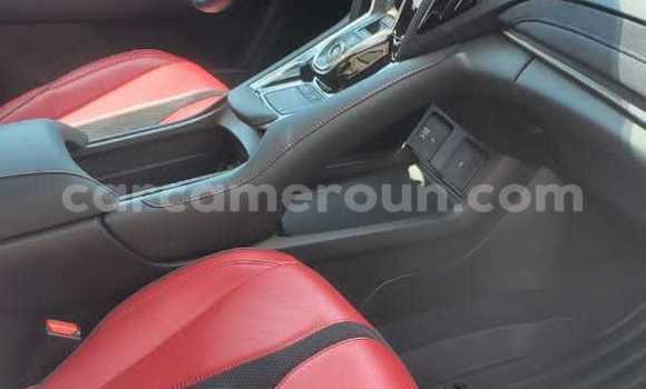 Acheter Import Voiture Acura RDX Blanc à Douala, Littoral Cameroon Acheter Import Voiture Acura RDX Blanc à Douala, Littoral Cameroon